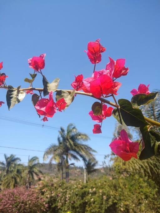 Chale Aconchegante Em Estancia Climatica Santo Antônio do Leite Eksteriør bilde