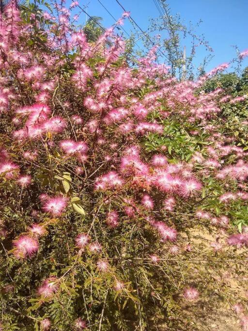 Chale Aconchegante Em Estancia Climatica Santo Antônio do Leite Eksteriør bilde