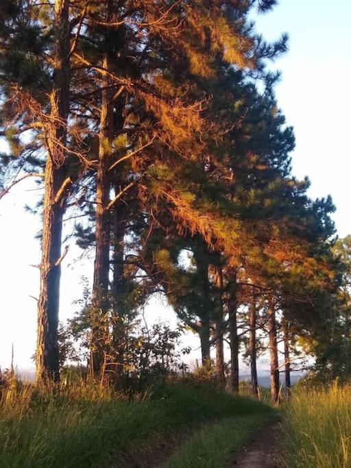 Chale Aconchegante Em Estancia Climatica Santo Antônio do Leite Eksteriør bilde