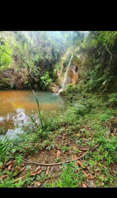 Chale Aconchegante Em Estancia Climatica Santo Antônio do Leite Eksteriør bilde